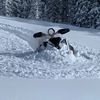 skidoo850tr1