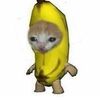 unknown.user_chris