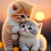 enoy_06