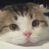 oliverhasnoears