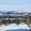 vikingmannenost