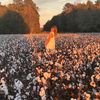 officialwhitney1