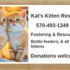 kats_kitten_rescue