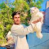 dawood.bhatti110