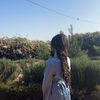 hallabu01