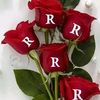 user690198974056