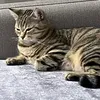 kanarya_999