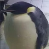 stoptouchingme1