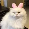 caffeinatednaps