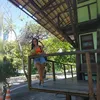 jessicasousasan8