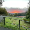 loverat.co.uk0