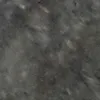 darlam_trevisol