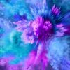 rose.05_10