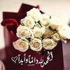 user50qzlegbhx