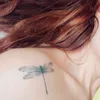 _llajuita