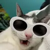 violetkitteh