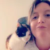 sessedu29