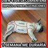 user294834876
