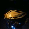 eagles_01fan