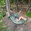 catskillsbears