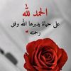 shimaarashad86