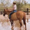 petethehorse