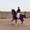 mhoamm7