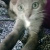 ander_mg06