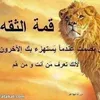 dybq8wd3i1g1
