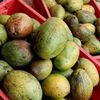 organicfacts