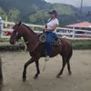 loaizabucuru01