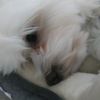 didi__cc