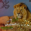 user858771833khaled