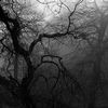 xims_095