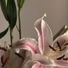bypwrettiess