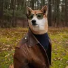 savitar_galgeo