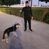 abnamir03