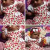nandasantos0178