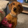 emma_mabel4