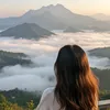 nguyenduyen030399