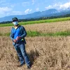chnnyiyi3