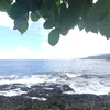 renairenairenairenai