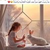 tajdidaabdalrahma