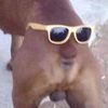elroberfalso
