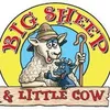 Big Sheep Little Cow