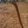 pacolgowang279