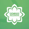 Corso Vollenhove