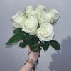 bibi_khan5