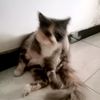 meiliana55
