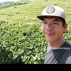 rovanvanjapa